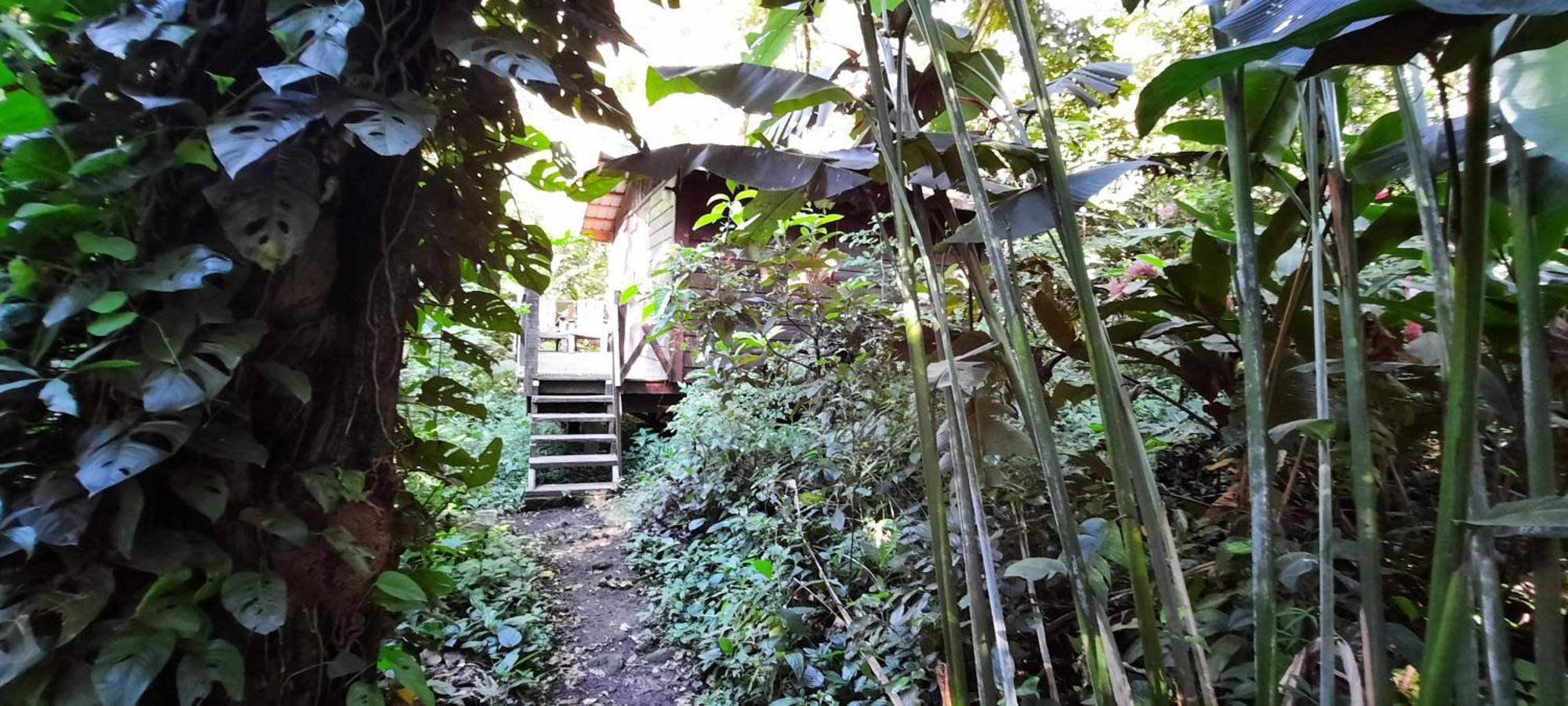 גרנאדה Mombacho Lodge מראה חיצוני תמונה