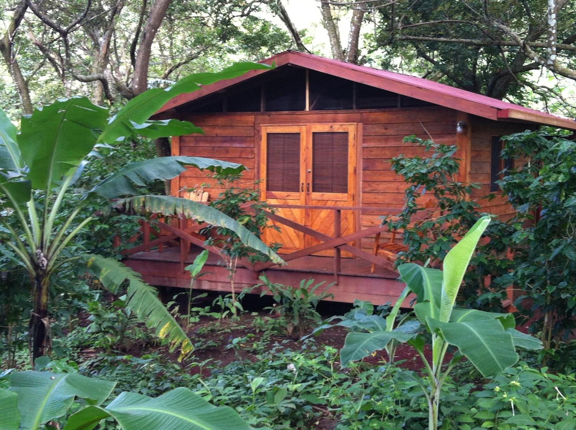 גרנאדה Mombacho Lodge חדר תמונה