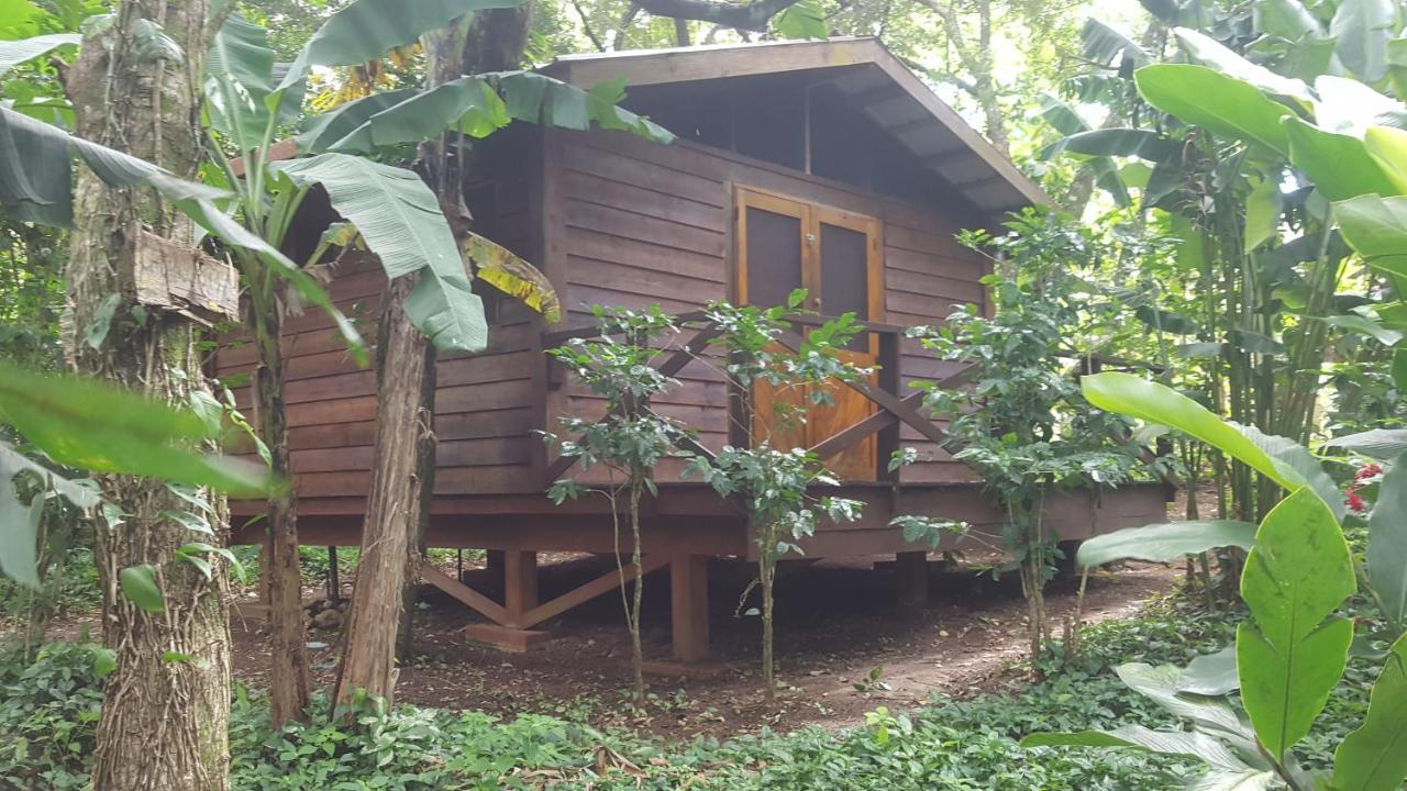 גרנאדה Mombacho Lodge מראה חיצוני תמונה